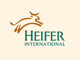 Heifer International to Lay Off 20% in US