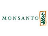 Monsanto to Cut 900 Jobs