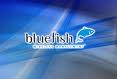 Bluefish Wireless to Expand Indiana Operation