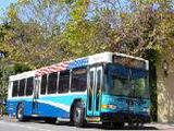 Kelly Halcon Named HR Director For Monterey-Salinas Transit