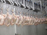 USDA Says More Chickens On The Line. Workers Say, That’s Not Fine