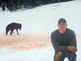 Forest Service Employee Traps, Tortures and Kills Wolf – Photographs It