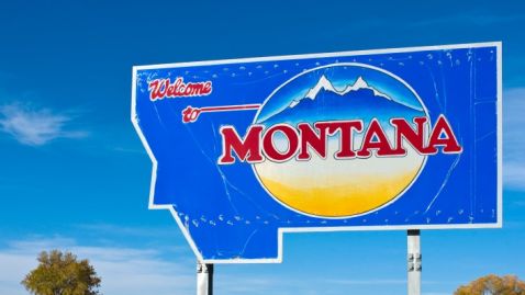 Teen Unemployment Rate in Montana