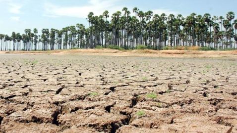 Drought Causing Drain on Economy